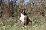 AMSTAFF ADULT 122